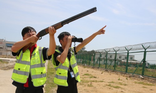 1686711173191620.jpg A88A8065_副本_副本.jpg